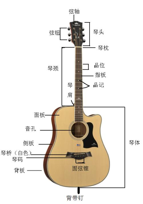 吉他教学手机版免费吉他教学视频全集